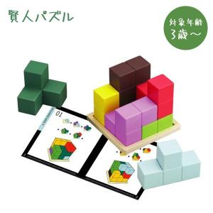 エドインター 賢人パズル 知育玩具 ベビートイ 木製ブロック 知の贈り物シリーズ 木のおもちゃ ギフト｜select-mofu-y