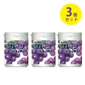 マルカワ ガム グレープマーブルガムボトル 13...の商品画像