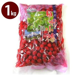 カリカリ梅 小梅 食品 の商品一覧 通販 Yahoo ショッピング