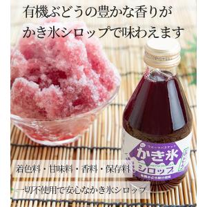 かき氷シロップ 180ml 5種セット 無添加...の詳細画像3
