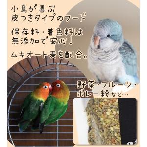 黒瀬ペットフード プロショップ専用 mania...の詳細画像3
