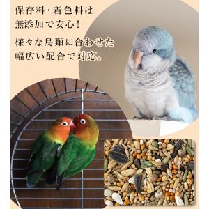 黒瀬ペットフード マニアシリーズ セキセイイン...の詳細画像3
