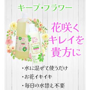 フジ日本精糖 キープフラワー 選べる内容量 植...の詳細画像1