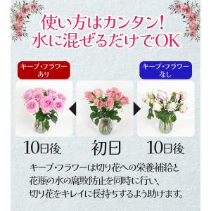 フジ日本精糖 キープフラワー 選べる内容量 植...の詳細画像3