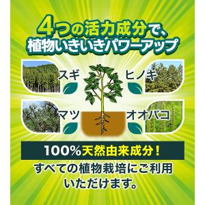フローラ HB-101 植物活力剤 選べる容量...の詳細画像3