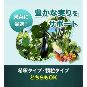 フローラ HB-101 植物活力剤 選べる容量...の詳細画像4