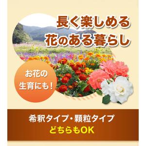 フローラ HB-101 植物活力剤 選べる容量...の詳細画像5