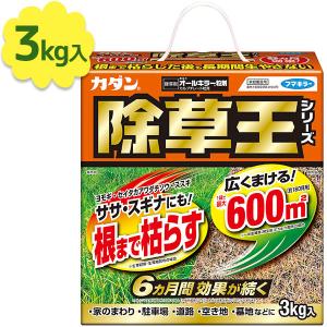 フマキラー 除草剤 カダン 除草王 オールキラー 3kg 粒剤 雑草 庭 園芸用品 農業 畑 雑草対策 雑草除去 業務用 強力 家庭用 顆粒 広範囲