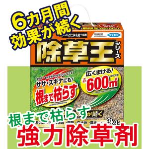 フマキラー 除草剤 カダン 除草王 オールキラ...の詳細画像1