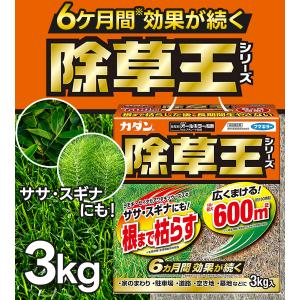 フマキラー 除草剤 カダン 除草王 オールキラ...の詳細画像1