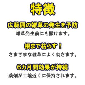 フマキラー 除草剤 カダン 除草王 オールキラ...の詳細画像2