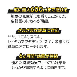 フマキラー 除草剤 カダン 除草王 オールキラ...の詳細画像2