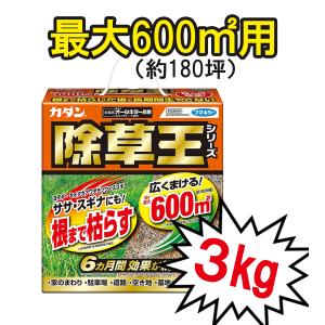 フマキラー 除草剤 カダン 除草王 オールキラ...の詳細画像4
