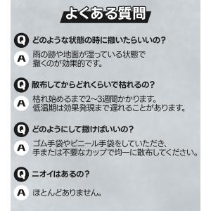 フマキラー 除草剤 カダン 除草王 オールキラ...の詳細画像4