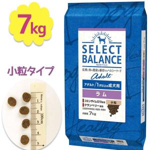 SELECT BALANCE （国産おやつ＆おまけ付き）セレクトバランス アダルト