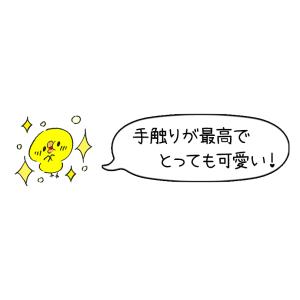 Jellycat ジェリーキャット ぬいぐるみ...の詳細画像2