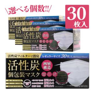 クラレ キーメイトマスク フィルター入り簡易防臭マスク 20枚入 PD-200