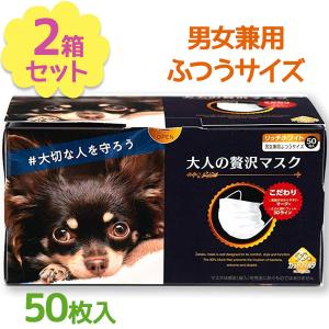 パンデミックガードAce レギュラー30枚入3箱90枚 使い捨てマスク 立体マスク パンデミックガードAce レギュラー