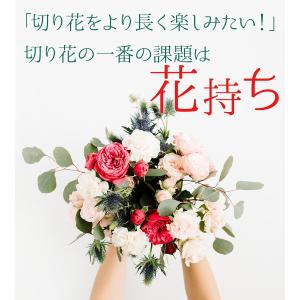 栄養剤 延命剤 切り花 フラワーフード クリザ...の詳細画像2