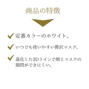 不織布 マスク 小顔 立体 プリーツ 大人の贅...の詳細画像2