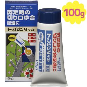 住友化学園芸 トップジンMペースト 100g 殺菌剤 樹木の切り口 剪定 野菜・果物作り 家庭菜園 ガーデニング 園芸用品｜select-mofu-y