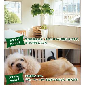バイオゴールド オリジナル 天然有機肥料 90...の詳細画像3