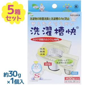洗濯槽快 30g×5個セット 黒カビ予防 除菌 ...の商品画像