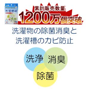 洗濯槽快 30g×5個セット 黒カビ予防 除菌...の詳細画像2