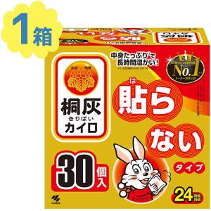 桐灰カイロ ニューハンドウォーマー 貼らないタイプ 30個入 24時間持続 温熱用品 使い捨てカイロ 衛生用品 ヘルスケア 日本製