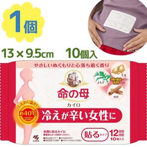 桐灰カイロ 命の母 10個入 貼るタイプ 12時間持続 衣類用 温熱用品 使い捨てカイロ 衛生用品 ヘルスケア