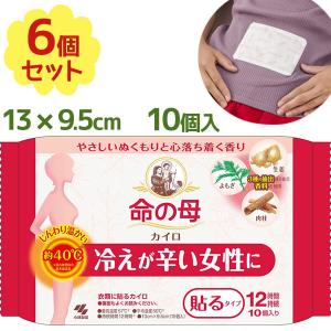 桐灰カイロ 命の母 10個入×6個セット 貼るタイプ 12時間持続 衣類用 温熱用品 使い捨てカイロ 衛生用品 ヘルスケア｜select-mofu-y