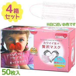 非常・携帯用 サクマ式ドロップス 170g×2個セット 缶入り