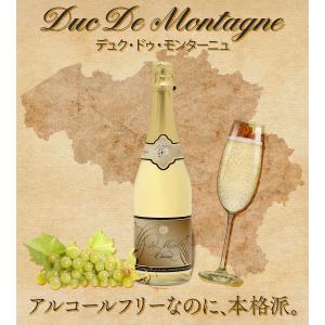 湘南貿易 デュックドモンターニュ 白 750m...の詳細画像1