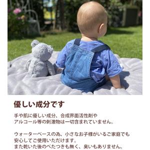 ぬいぐるみ 洗剤 クリーナー スプレータイプ ...の詳細画像3