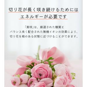 切り花延命剤 美咲 10ml×100個セット ...の詳細画像2