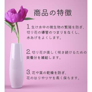 切り花延命剤 美咲 10ml×100個セット ...の詳細画像4