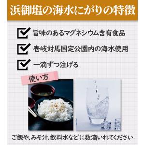 白松 浜御塩の海水にがり 170ml×3個セッ...の詳細画像3