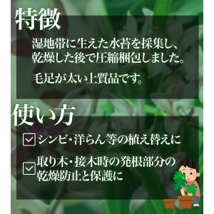 水苔 150g ミズゴケ 水ごけ チリ産 家庭...の詳細画像2
