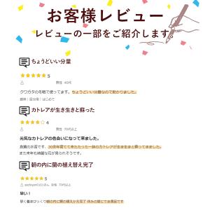 水苔 150g ミズゴケ 水ごけ チリ産 家庭...の詳細画像3