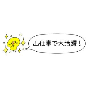 安全靴 作業靴 セーフティシューズ 荘快堂 高...の詳細画像4