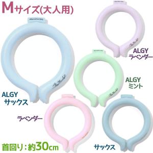 首掛け PCM アイスリング Mサイズ 全5色 冷感グッズ コンパクト ハンズフリー ひんやり 持ち運び 繰り返し使える F.O.インターナショナル ICE RING｜select-mofu-y