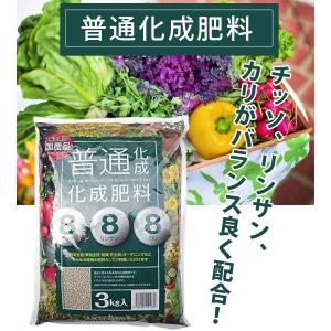 肥料 3kg 普通化成肥料 8-8-8 野菜 ...の詳細画像1