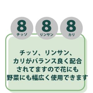 肥料 3kg 普通化成肥料 8-8-8 野菜 ...の詳細画像2