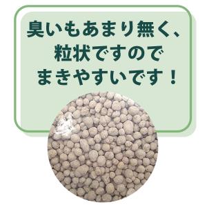 肥料 3kg 普通化成肥料 8-8-8 野菜 ...の詳細画像3