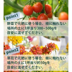 肥料 3kg 普通化成肥料 8-8-8 野菜 ...の詳細画像5