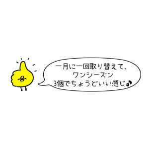 インテックス プール 循環ポンプ用 フィルター...の詳細画像3