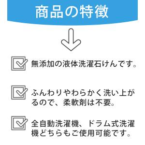 洗濯洗剤 詰め替え用 スノール シャボン玉せっ...の詳細画像2