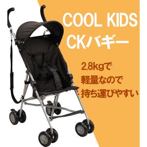 バギー ベビーカー B型 COOL KIDS ...の詳細画像1