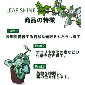 クリザール リーフシャイン エアゾール 250...の詳細画像2