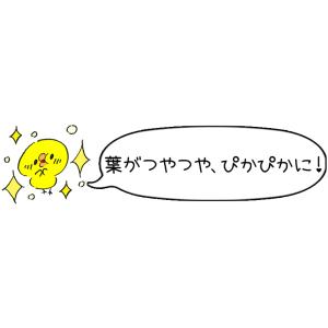 クリザール リーフシャイン エアゾール 250...の詳細画像3